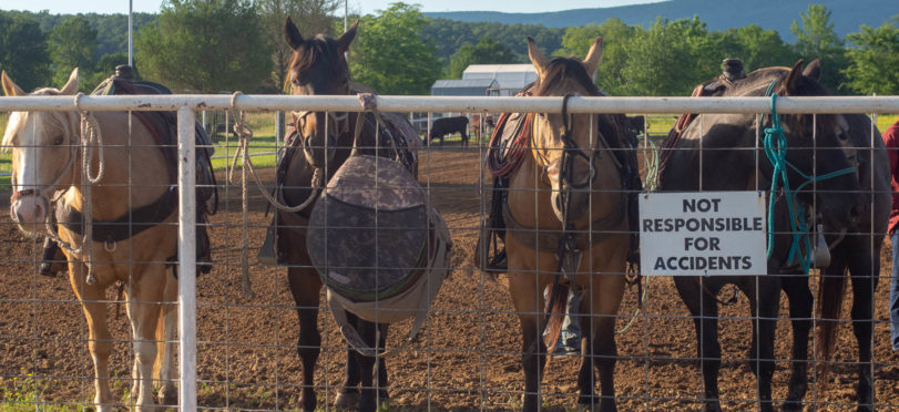 Cowboy Church Does Calf Roping For A Cause